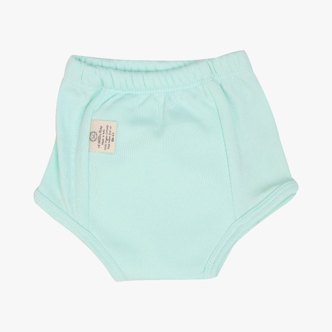 Tiny Undies Small Baby Underwear, Unisex, 3-Pack, Aqua Blue, 18 Months :  : Clothing, Shoes & Accessories