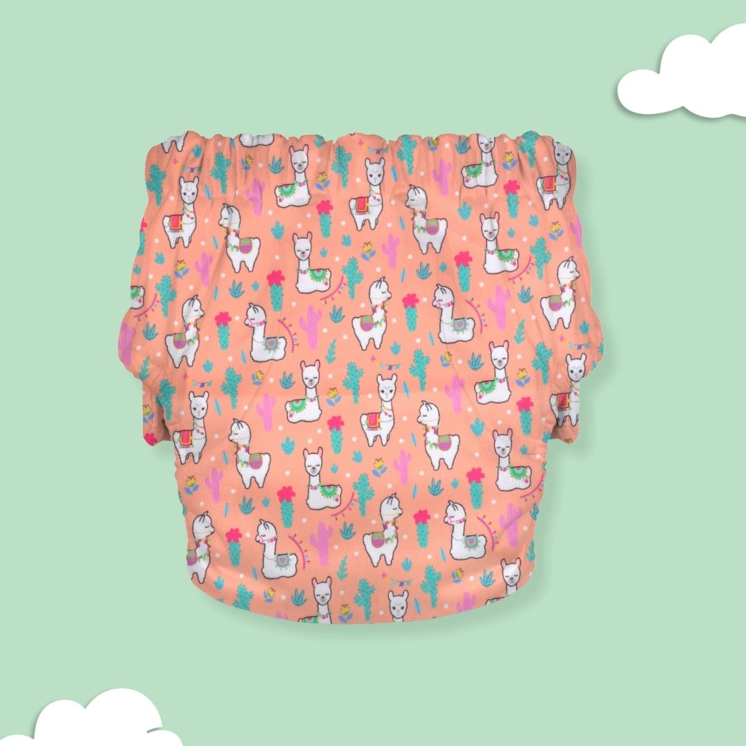 Newborn Cloth Diaper 2.0 with 1 cotton Insert (2 kg - 5 kg)