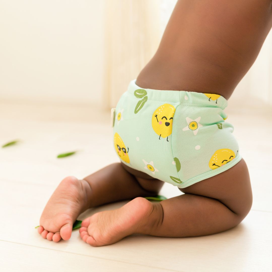 Lemon (Pack of 2)  - Ultra Undies - Baby Padded Underwear